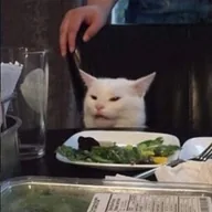Smudge Cat (SMUDGE) token icon