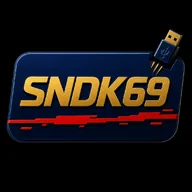 SNDK69 (SNDK69) token icon