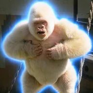 The Albino Gorilla (SNOWFLAKE) token icon