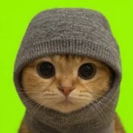 Sock & Pussy 500 (SNP500) token icon
