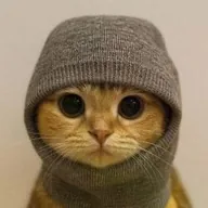 Socks and Pussy 500 (SNP500) token icon