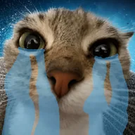 I miss you (SOBCAT) token icon