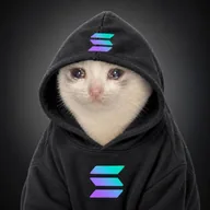 SOLCAT (SOLCAT) token icon