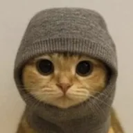 Sock & Pussy 500 (SP500) token icon