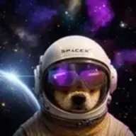 SpaceX Inu (SI) token icon