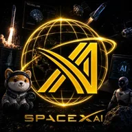 ElonSPACEX420AsteroidFalcon6900 (SPACEXAI) token icon