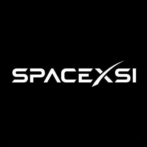 SpaceXS (SPACEXS) token icon