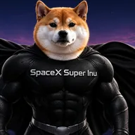 SPACEXSI (SXSI) token icon