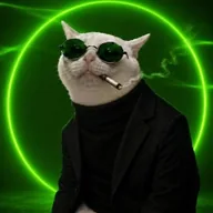 Feline Guardian Wheel (SPINOR) token icon