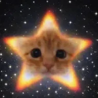 Starcat (STARCAT) token icon
