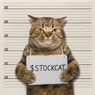 Stock Cat (STOCKCAT) token icon