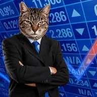 Stonk Cat (STONKCAT) token icon