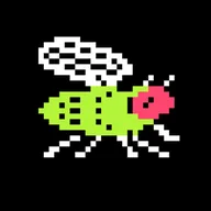 STONKFLY (STONKFLY) token icon