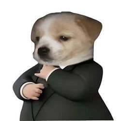 Dog in a suit (SUIT) token icon