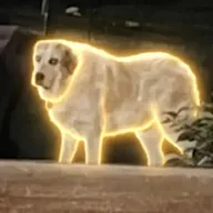 The Alpha Dog (SULLY) token icon