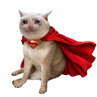 Super Cashcat (SCC) token icon