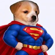 SuperButch (SUPERBUTCH) token icon