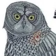 Superintelligence Owl (OWL) token icon