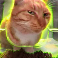Suspicious Cat (SUSCAT) token icon