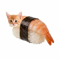 Sushi Cat (SUSHI) token icon