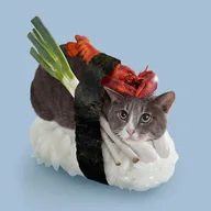 sushicat (SUSHICAT) token icon