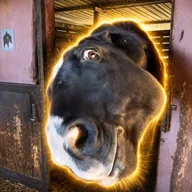 sushorse (SUSHORSE) token icon