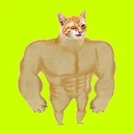 Swole Wink Cat (SWINK) token icon