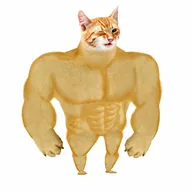 Swole Cat (SWOLE) token icon