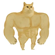 SWOLE CAT (SWOLECAT) token icon