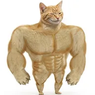 Swole Cat (SWOLECAT) token icon