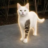 catwiftat (TAT) token icon