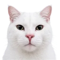 Tesla Cat (TCAT) token icon