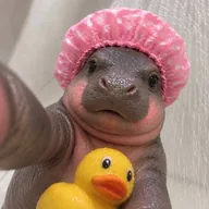 The Tiny Hippo (PIPPO) token icon