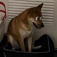 Fomo Inu (THEO) token icon