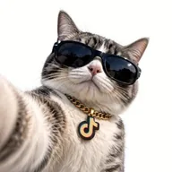 TikTok Cat (TIKCAT) token icon