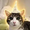 tinfoilcat (TINFOILCAT) token icon