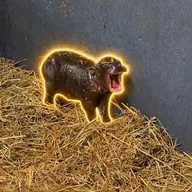 The Pygmy Hippo (TINYTANK) token icon