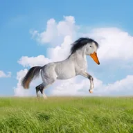 the quacking horse (TQH) token icon