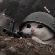 trenchcat (TRENCHCAT) token icon