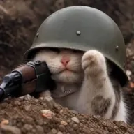 trenchcat (TRENCHCAT) token icon