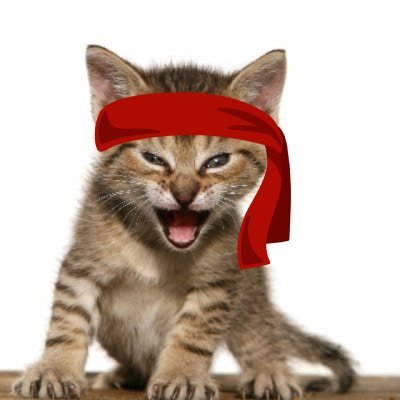 The Roaring Kitty (TRK) token icon
