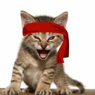 The Roaring Kitty (TRK) token icon