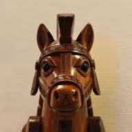 The Hidden Runner (TROJAN) token icon