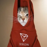 Troncat (TRONCAT) token icon