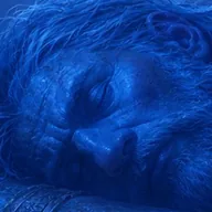 the sleeping giant (TSG) token icon