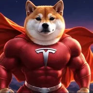 Tesla Super Inu (TSI) token icon