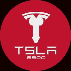 TSLA6900 (TSLA) token icon
