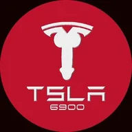 TSLA6900 (TSLA) token icon