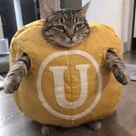 Useless Cat (ULCAT) token icon