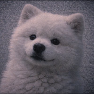 umi (UMI) token icon